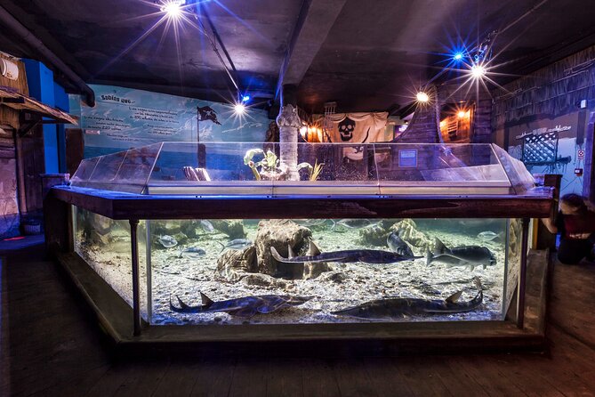 Sealife Benalmadena Entrance Ticket - Questions and Help Center