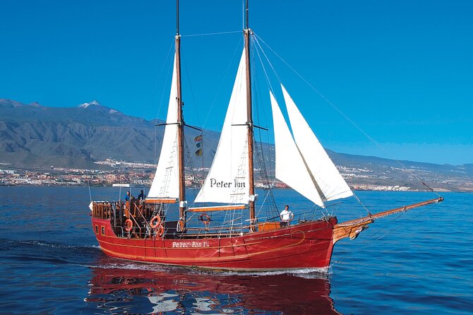 Sealife Dolphin & Whale Watching Aboard Portuguese Schooner - Cancellation Policy and Reviews
