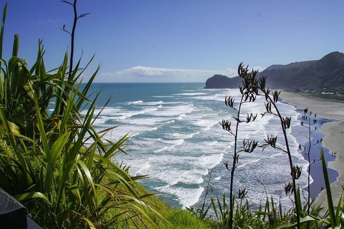 Seamless Auckland Airport Transfers to Auckland CBD - Additional Information
