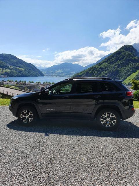 Seamless Transfers Between Lucerne and Burgenstock - Booking Details