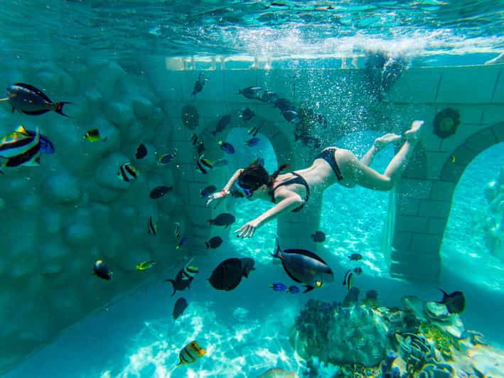 Seapark: Swimming in Pool Aquarium With Authentic Creatures - Key Points