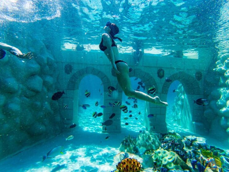 Seapark: Swimming in Pool Aquarium With Authentic Creatures - Pricing Details