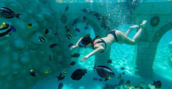 Seapark: Swimming in Pool Aquarium With Authentic Creatures - Main Attractions