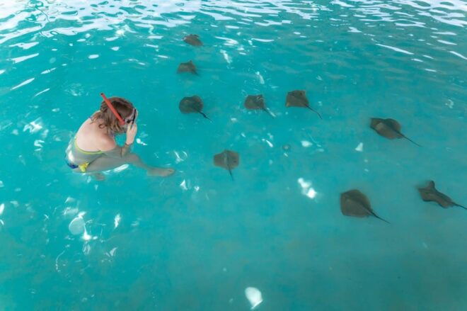 Seapark: Swimming in Pool Aquarium With Authentic Creatures - Snorkeling and Swimming