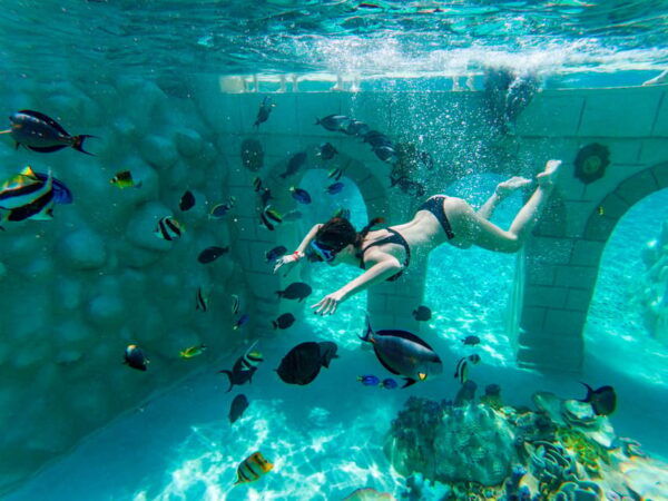 Seapark: Swimming in Pool Aquarium With Authentic Creatures - Inclusions and Amenities
