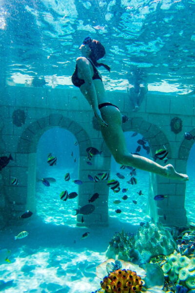 Seapark: Swimming in Pool Aquarium With Authentic Creatures - Customer Experiences