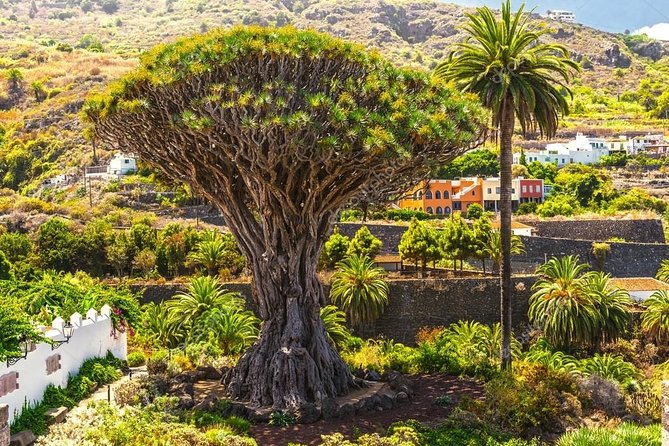 Searching the Lost Cities (Tenerife) - Journey Into the Past: Lost Cities of Tenerife