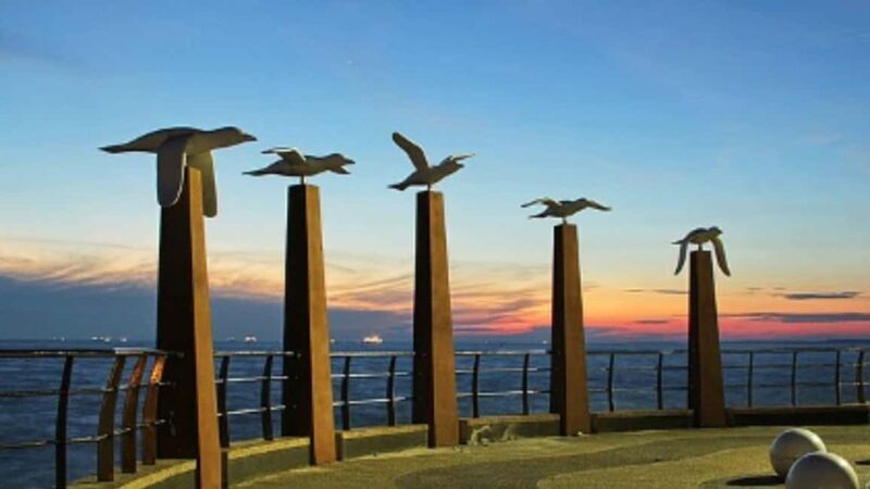 Seaside Charms & Eco Discoveries: Morib to Bagan Lalang - Seaside Charms & Eco Discoveries: Morib to Bagan Lalang – A Complete Guide