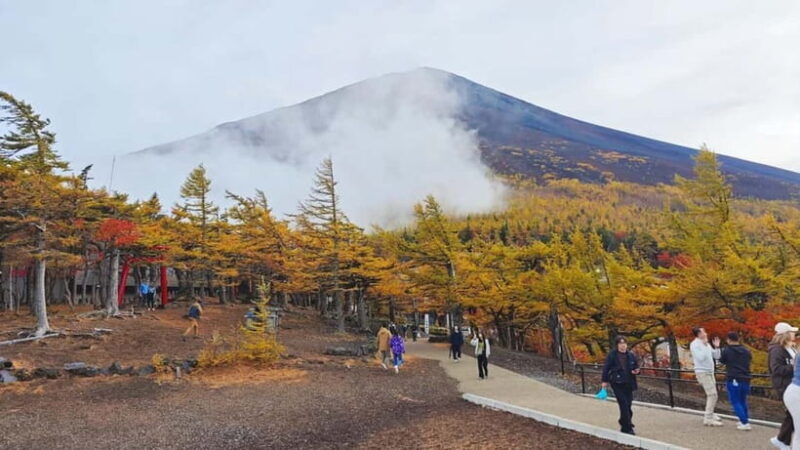 [Seasonal Limited] Mt. Fuji 5th Station &Hot Spring Day Tour - Good To Know