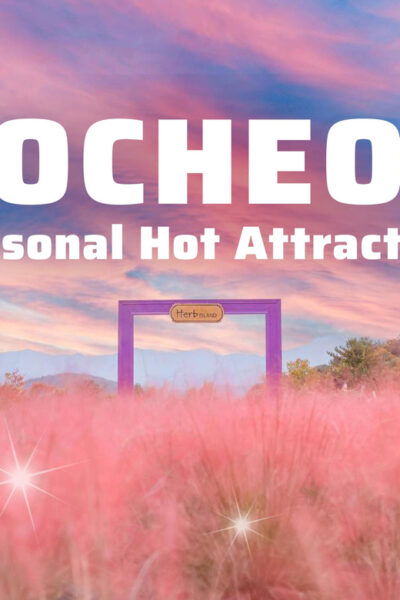 Seasonal Pocheon Full Day Tour With Apple Farm Experience - Booking Information