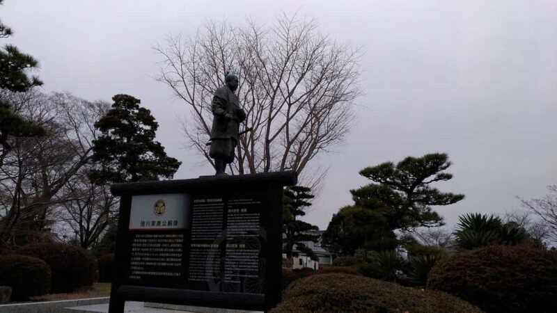 Seasonal Splendor  Kyoto Cherry Blossoms (Spring Only) - Who Should Consider This Tour?