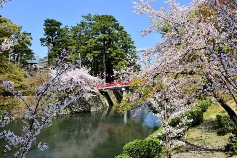 Seasonal Splendor  Kyoto Cherry Blossoms (Spring Only) - FAQ  