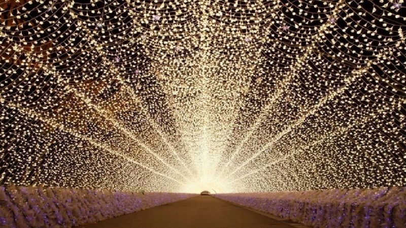 Seasonal Strawberry Picking, Nabana no Sato Illuminations & Outlet Shopping Tour from Osaka - A full day with several different moods