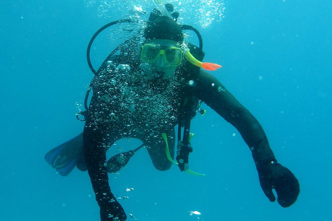 Seastar Luxury Outer Great Barrier Reef Island and Reef Tour From Cairns - Tour Highlights