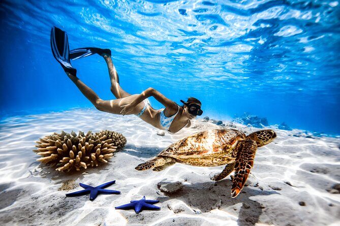 Seat in Coach Transfer from Rarotonga Airport to Hotel - FAQ