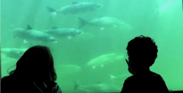 Seattle: 3 Hour Emerald City Bike Tour - Experience Highlights