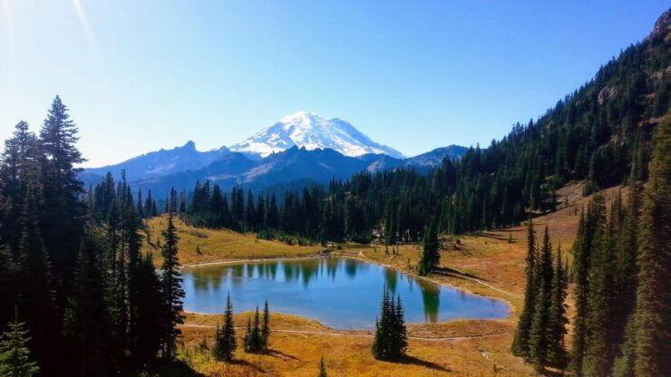 Seattle All-Inclusive: Hike Mt. Rainier and Wine Tasting - Highlights of the Activity