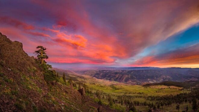 Seattle All-Inclusive: Hike Mt. Rainier and Wine Tasting - Important Information for Participants