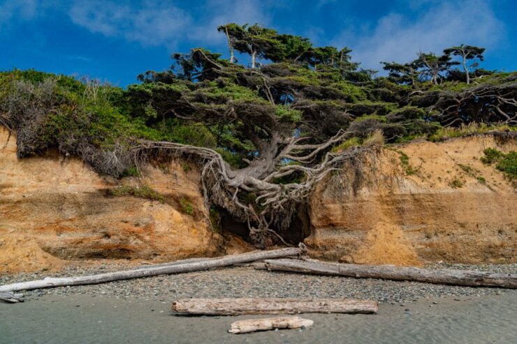 Seattle And Olympic NP Self-Guided Audio Bundle Tour - Tour Highlights