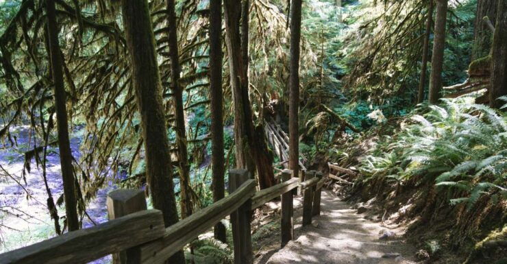 Seattle And Olympic NP Self-Guided Audio Bundle Tour - Booking Information