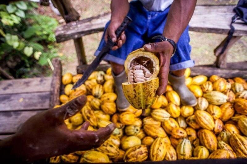 Seattle: Chocolate Tour with Tastings - Good To Know