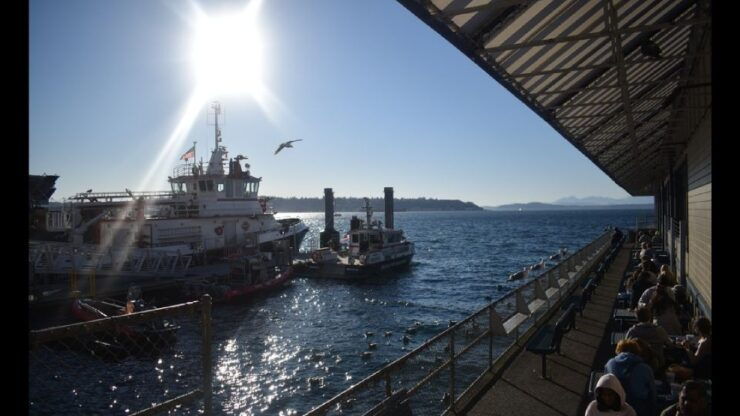 Seattle: City Walking Tour With Local Guide - Activity Details and Benefits