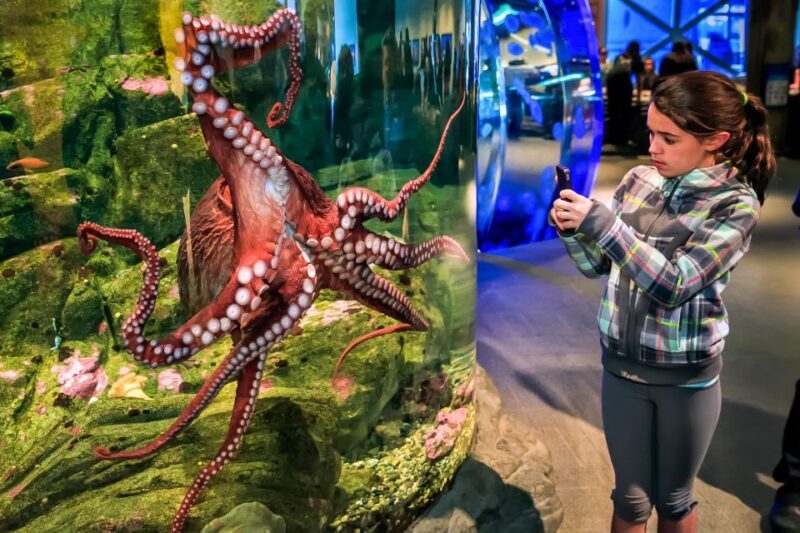 Seattle CityPASS®: Save up to 46% at 5 Top Attractions - Final Thoughts