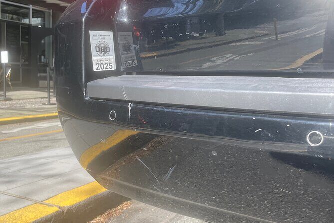 Seattle Cruise Port or Airport Private Transfer - Why This Transfer Works for You