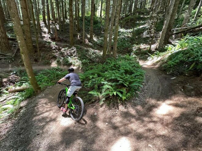 Seattle: Half Day All-Inclusive Mountain Bike Tour - Inclusions and Experience Highlights