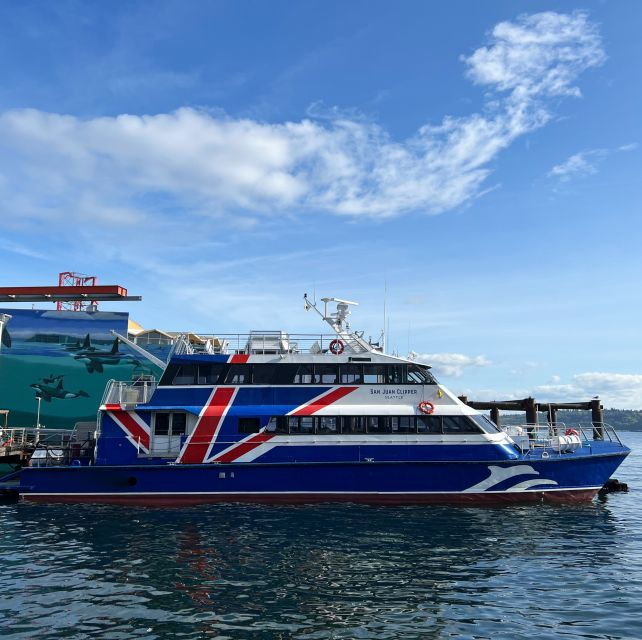 Seattle: Half-Day Wildlife and Whale Watching Cruise - Good To Know