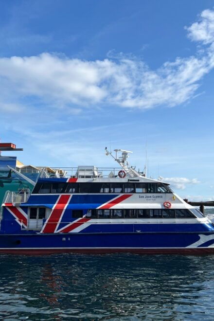 Seattle: Half-Day Wildlife and Whale Watching Cruise - Onboard Naturalist Guide