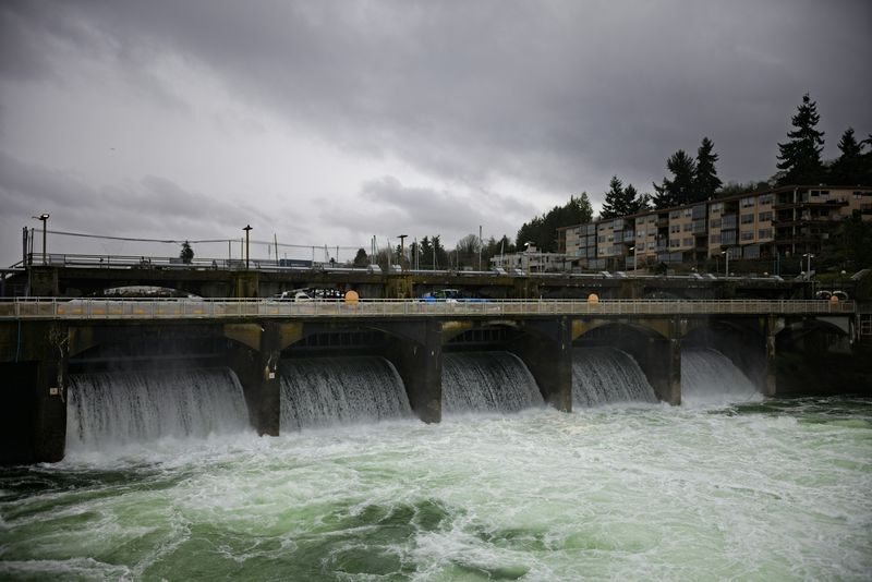 Seattle Iconics Half Day City Tour - The Ballard Locks: a guided stop