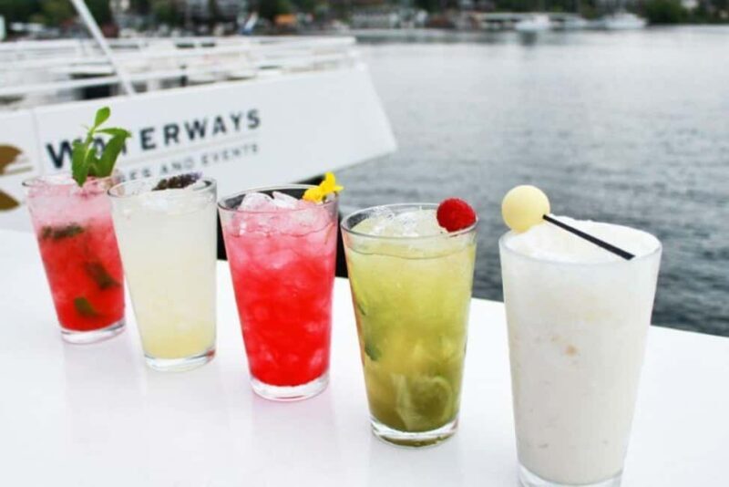 Seattle: Lake Union Happy Hour Cruise - Final Thoughts – Is This the Right Experience for You?