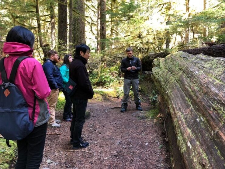 Seattle: Longmire in Mount Rainier Winter Day Tour - Pickup and Meeting Locations