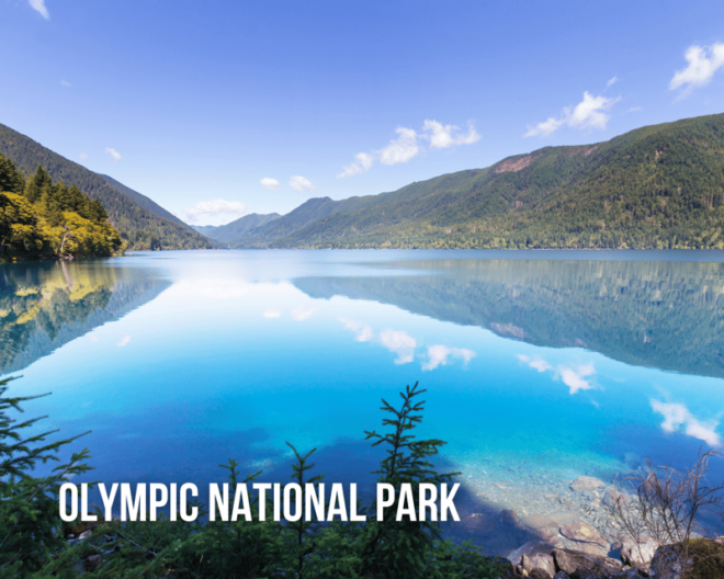 Seattle: Mount Rainier and Olympic Park Audio Guide Bundle - What to Bring