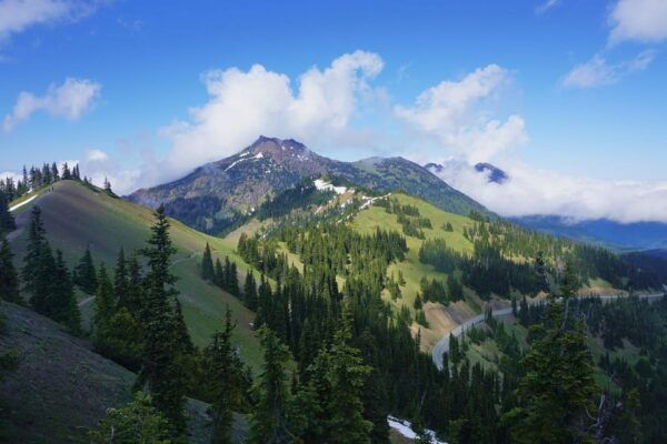 Seattle: Mount Rainier and Olympic Park Audio Guide Bundle - Park Access