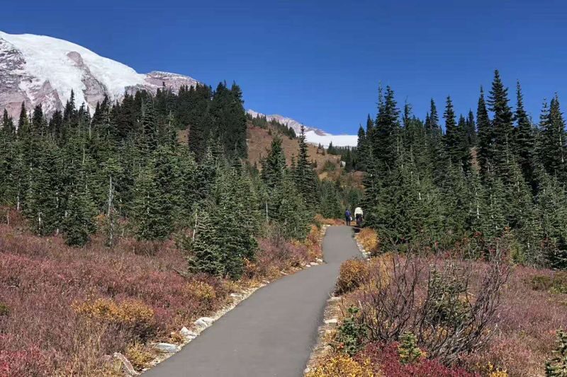 Seattle Mount Rainier National Park Full-Day Tour - The ride from Seattle sets the day’s pace