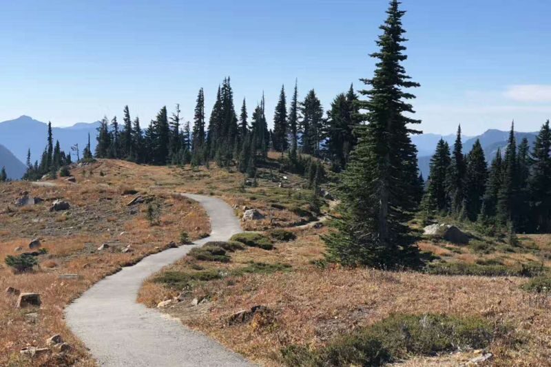 Seattle Mount Rainier National Park Full-Day Tour - Your guide can make the logistics feel easy