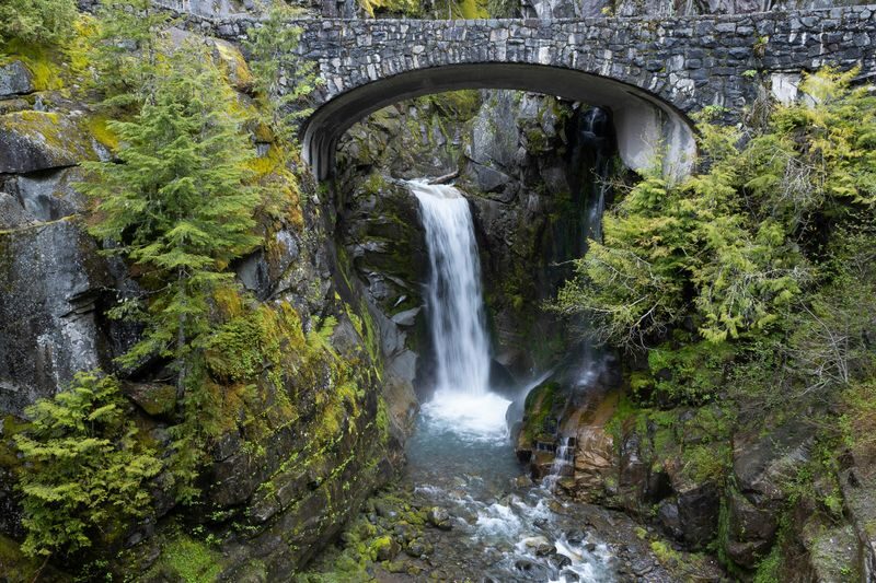 Seattle Mount Rainier National Park Full-Day Tour - Is $170.20 fair value?