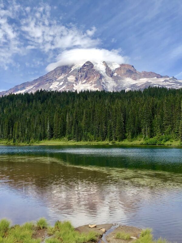 Seattle Mount Rainier National Park Full-Day Tour - Who should book this Mount Rainier day tour?