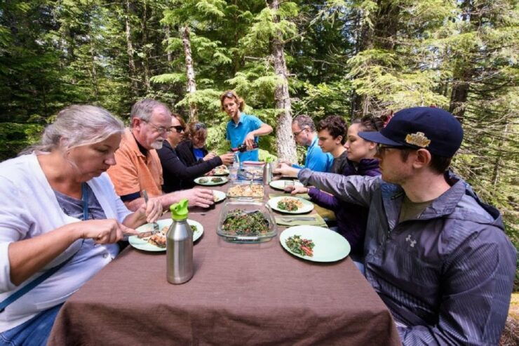 Seattle: Mount Rainier Park All-Inclusive Small Group Tour - Activity Details