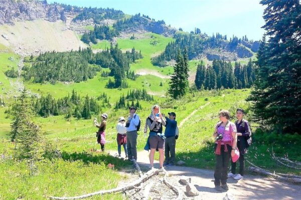 Seattle: Mount Rainier Park All-Inclusive Small Group Tour - Transportation