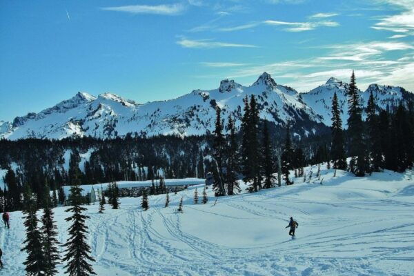 Seattle: Mount Rainier Park All-Inclusive Small Group Tour - Additional Recommendations