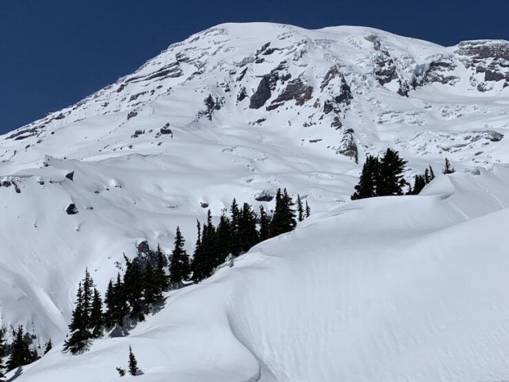 Seattle: Mt. Rainier Hiking W/ Waterfalls, Glaciers & Trees - Activity Description