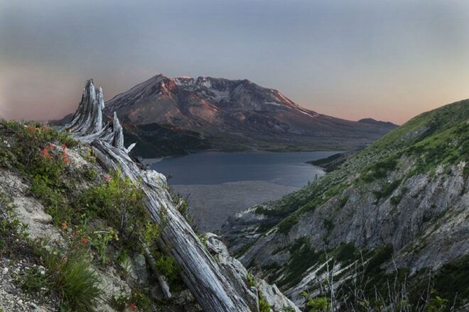 Seattle: Mt. St. Helens National Monument Small Group Tour - Access to Johnston Ridge Viewing Area