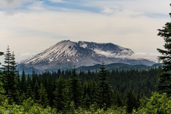 Seattle: Mt. St. Helens National Monument Small Group Tour - Additional Options and Customer Reviews