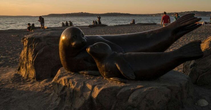 Seattle: Night Tour With Local Guide - Tour Duration and Cancellation Policy