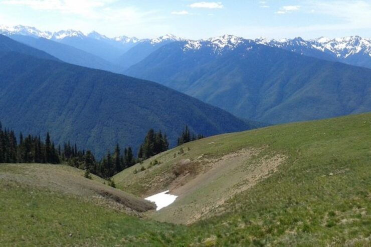 Seattle: Private Olympic Nat Park and Hurricane Ridge Tour - Activity Details