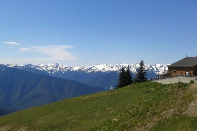 Seattle: Private Olympic Nat Park and Hurricane Ridge Tour - Highlights