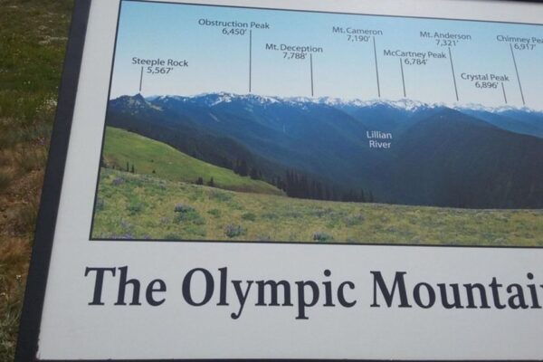 Seattle: Private Olympic Nat Park and Hurricane Ridge Tour - The Sum Up